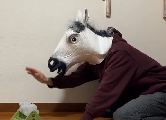 手を使って知育玩具を回す飼い主