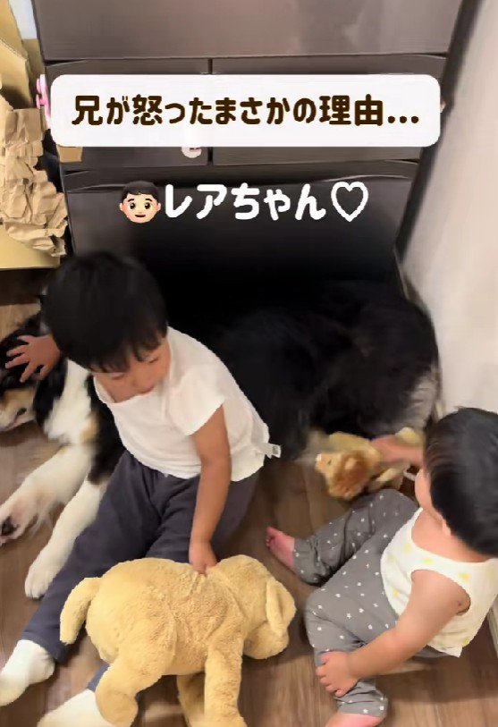 お兄ちゃんが一喝！！