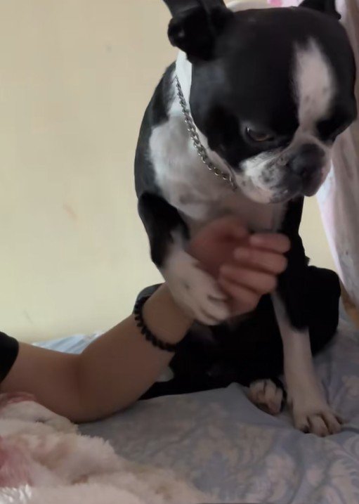 「オレがいるよ」と伝えるペレくん