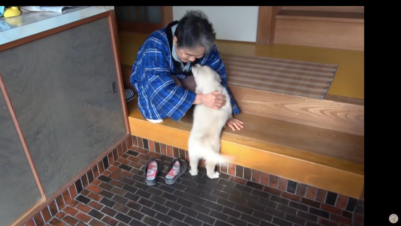 母親に子犬をプレゼント