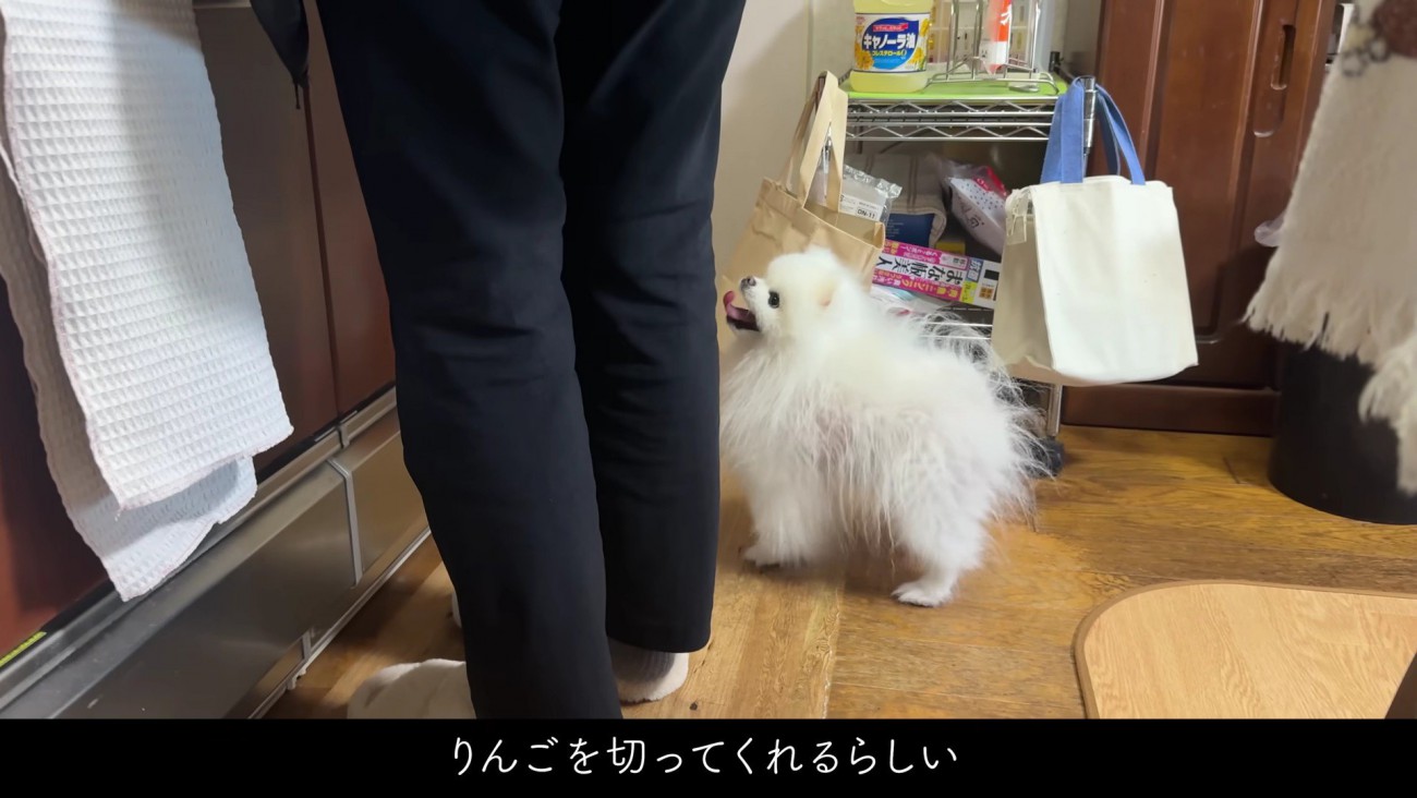 リンゴを切ってくれた