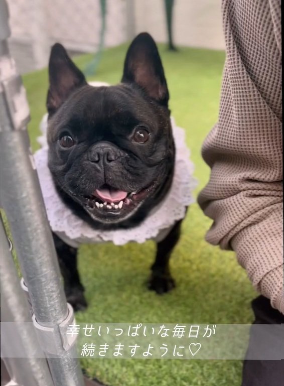 笑顔のあずきちゃん2