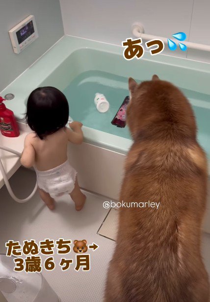 「それはダメかも…！」