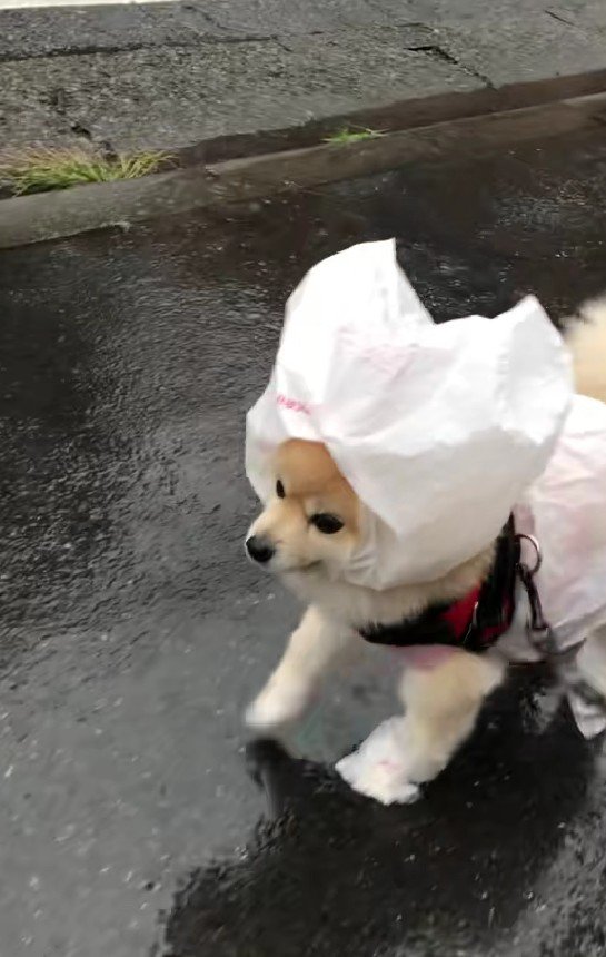 お手製のレインコート♪