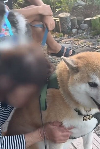 おもちくんとおばあちゃん