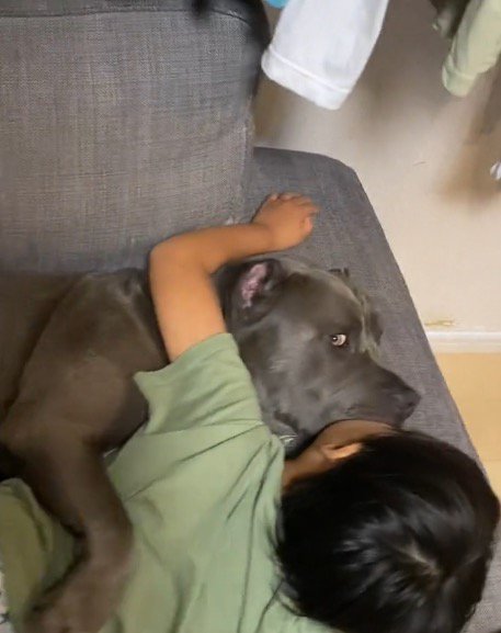 男の子に添い寝をする犬