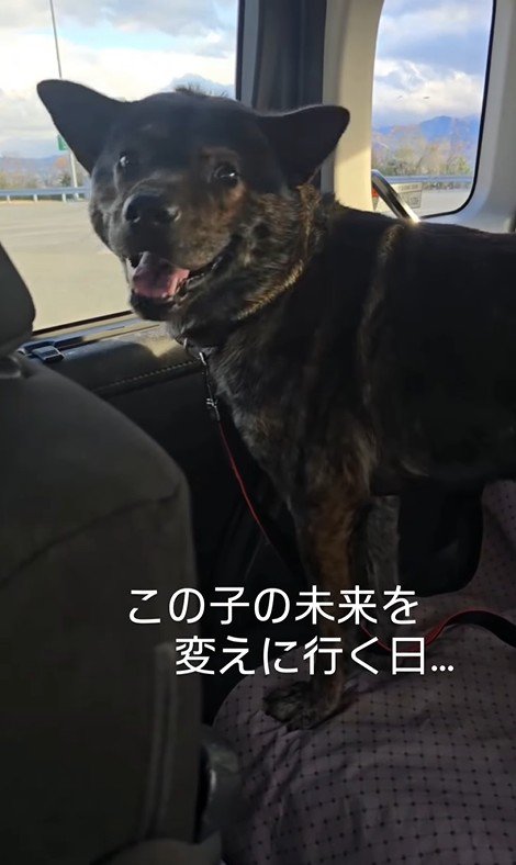 未来への希望を感じる素敵な表情