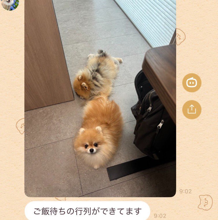 自由奔放な行列でした♪
