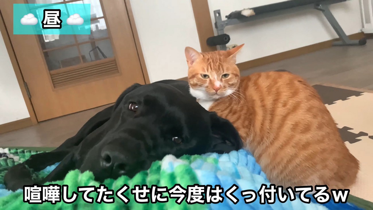 あっという間に仲直り♪