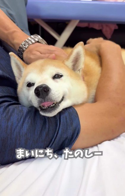 毎日幸せに暮らしているよ