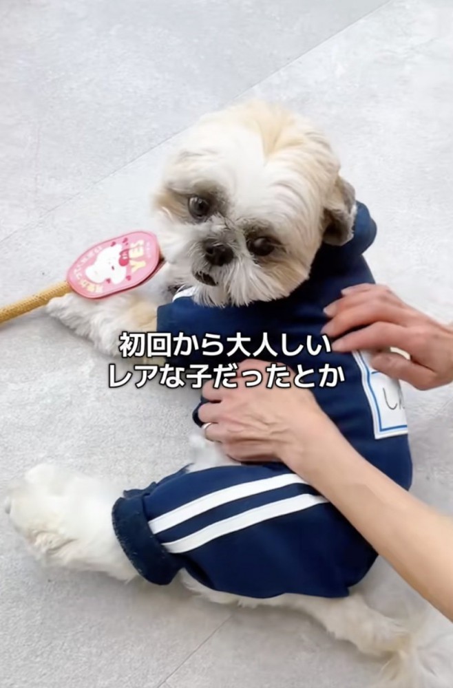 これからも会えるよ