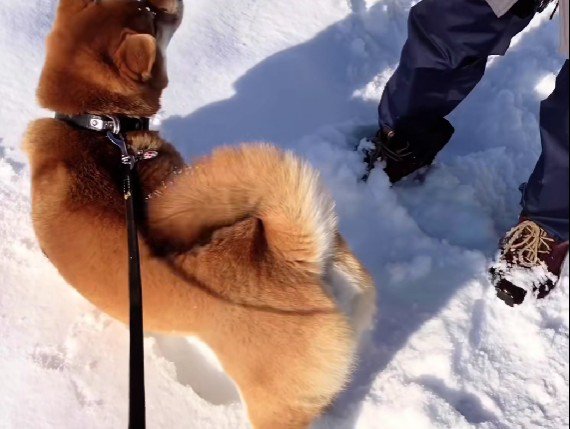 近所のおじいちゃん