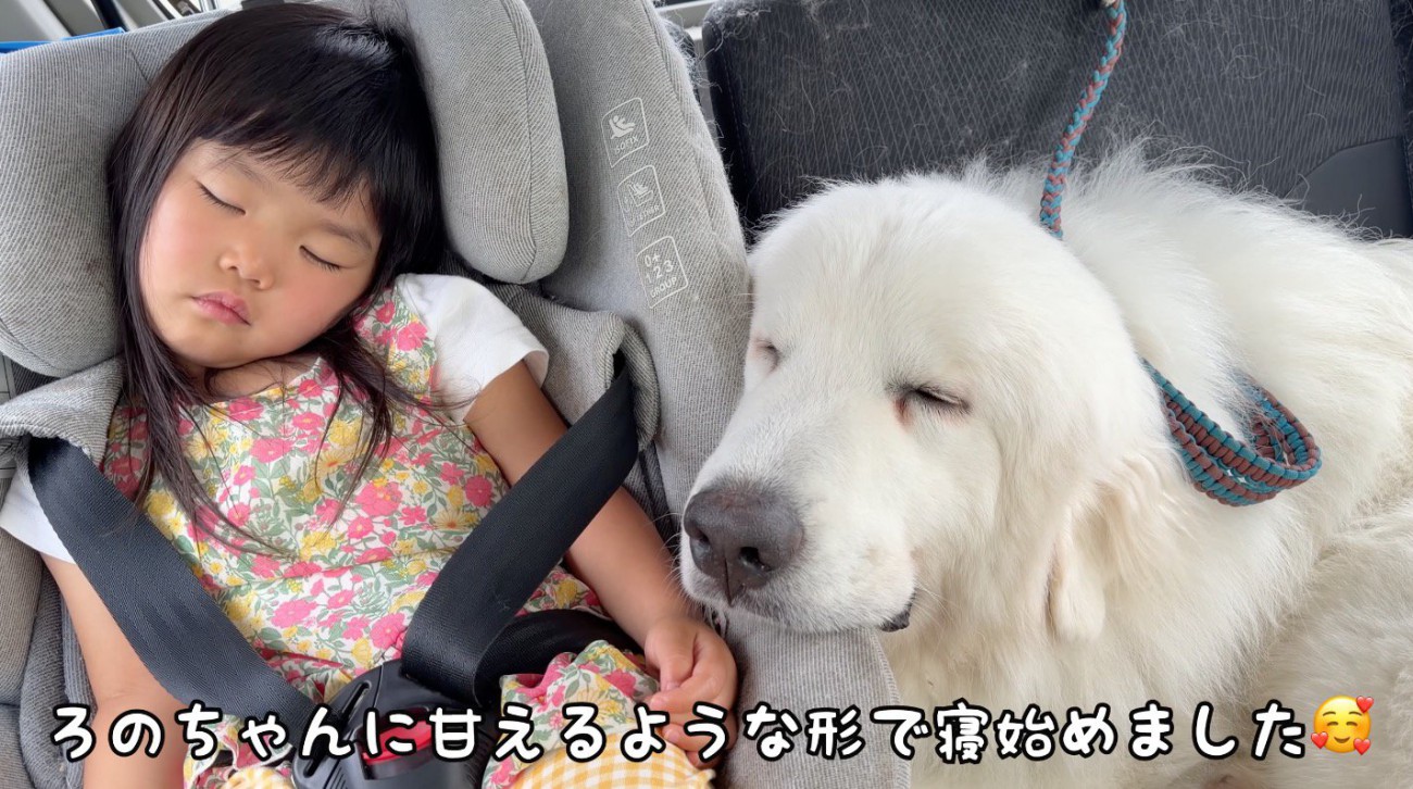 車の中で眠る犬と女の子