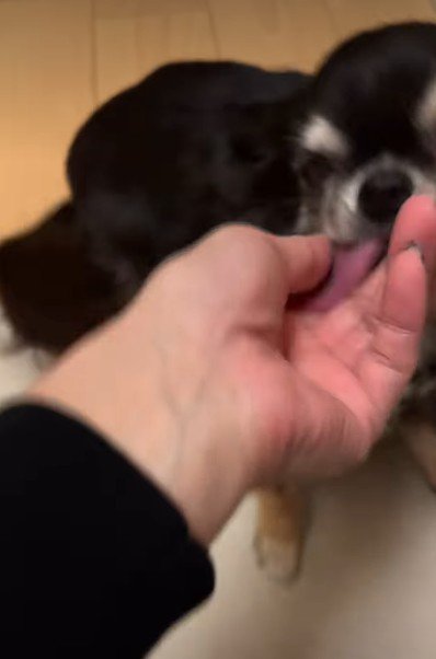 愛を感じるお出迎え♡