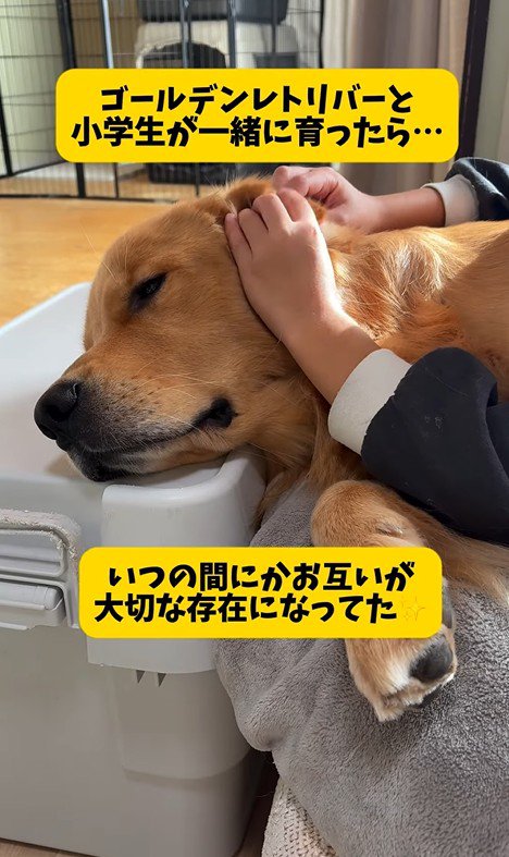 アルトくんと子どもたちの日常⑩