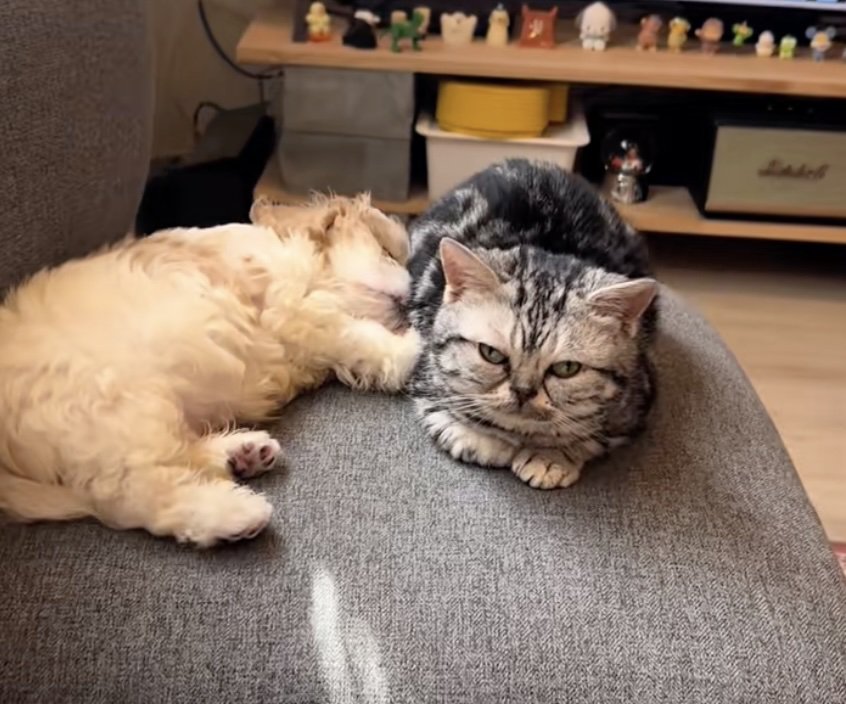 ずっと見ていたい光景です