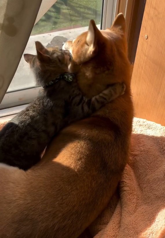 あんずちゃんが大好きなゆずくん