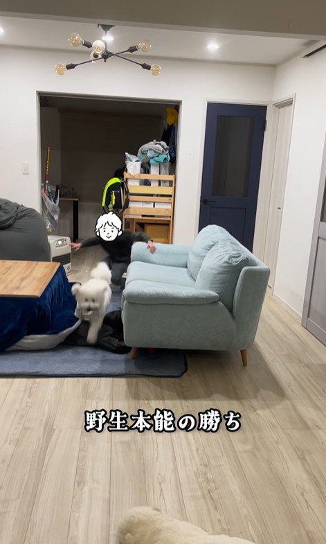 まる君VS男の子8