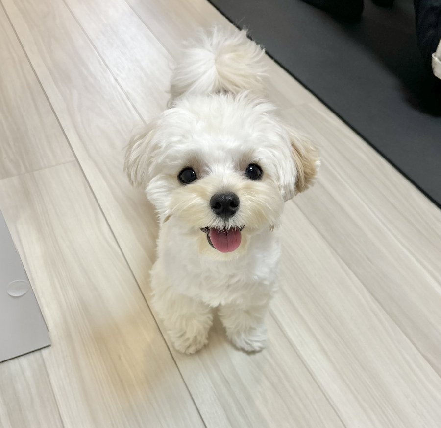 にっこり
