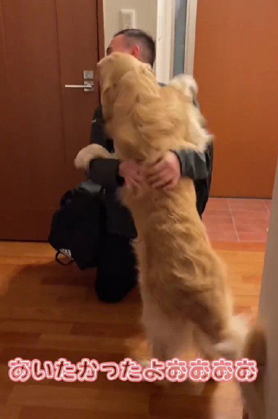 全身でパパを出迎えた