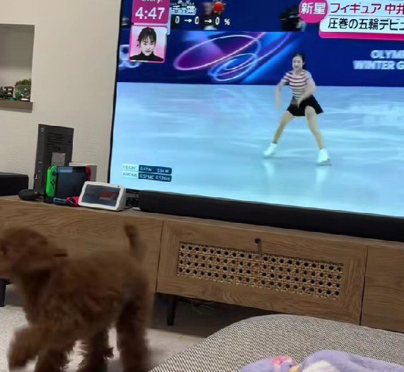 「ほらね、上手でしょ」