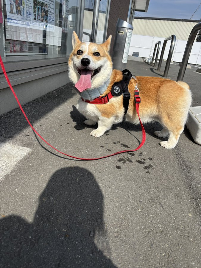 お買い物