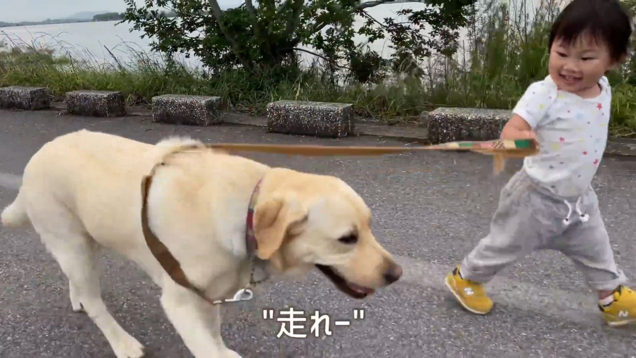 一緒に駆け足♪