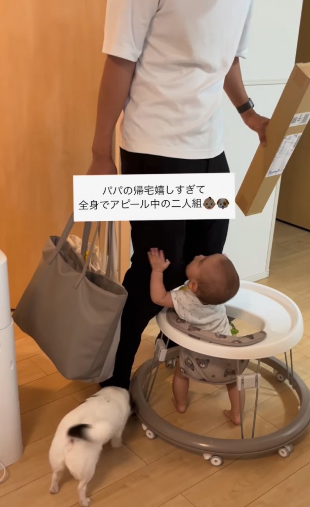 だっこをせがむ赤ちゃん