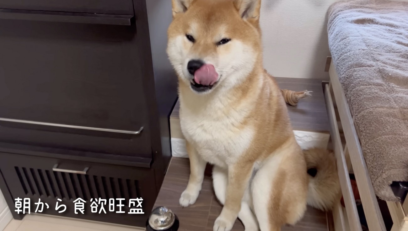 「おやつほしいです」