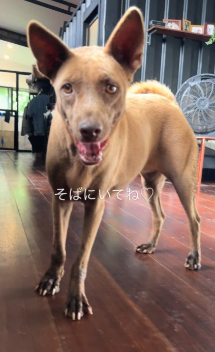 家族一丸となってここまでこれた