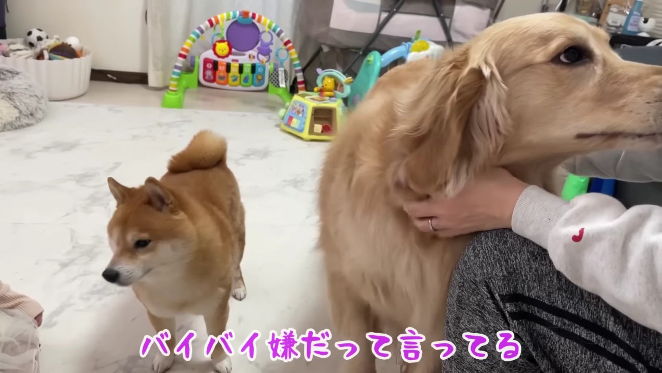 「バイバイしないで！」