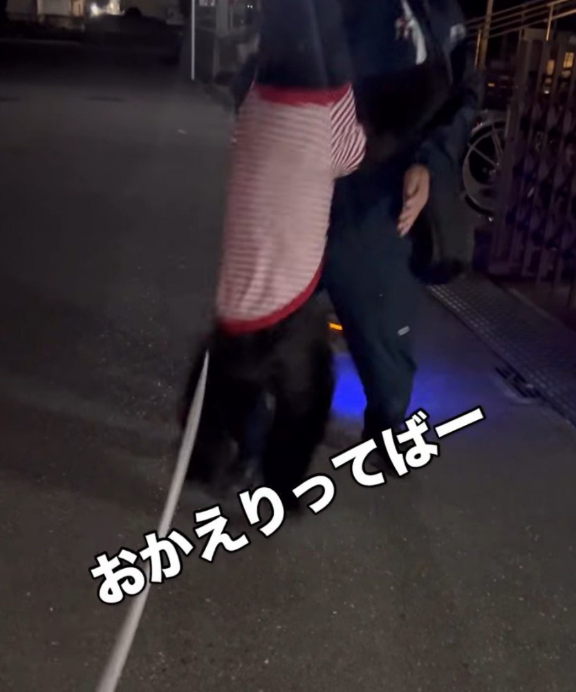 男性に向かって何度もジャンプする黒い犬