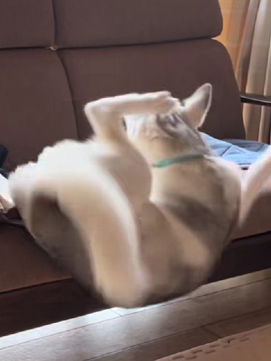 バランスを崩して落下