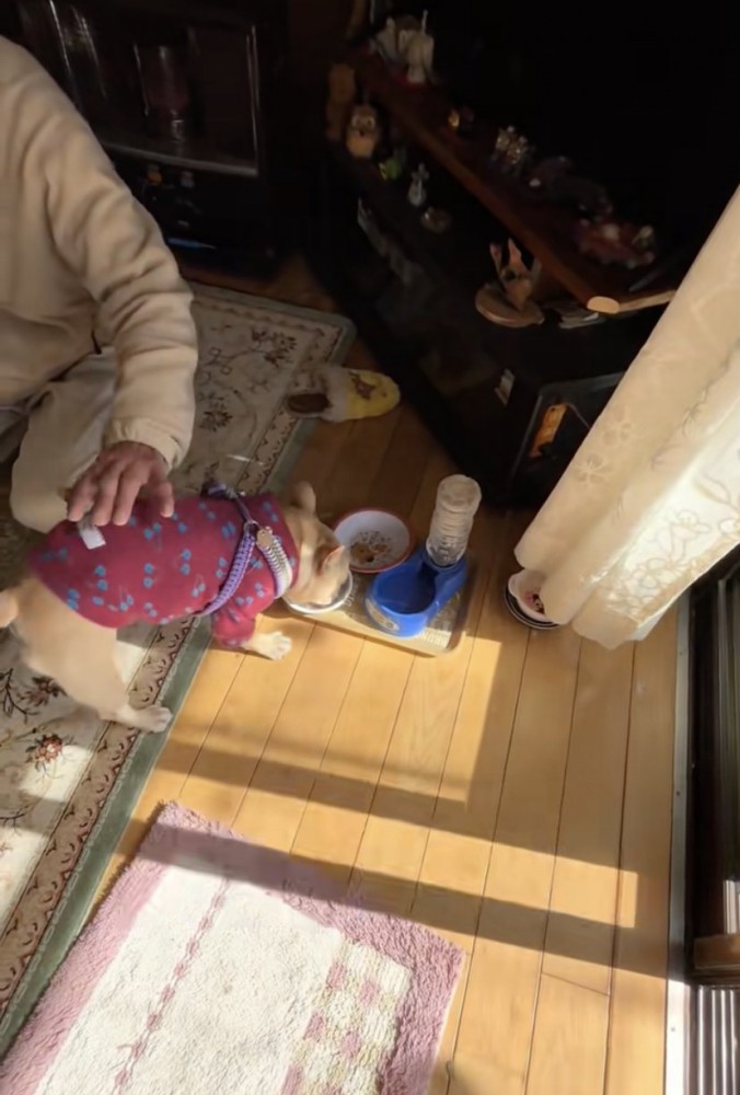 別のお皿も一応チェック