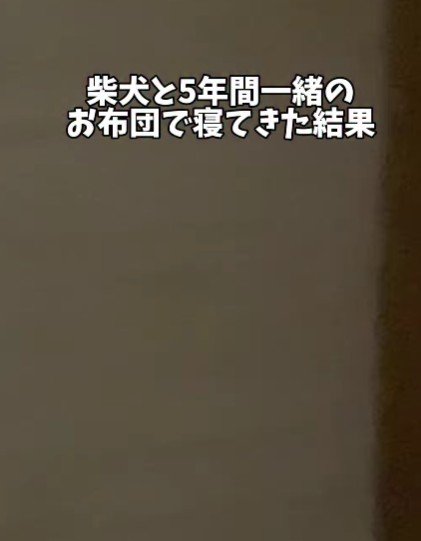 寝室に行くと…