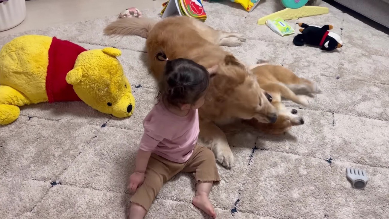 ワンプロが始まったら…