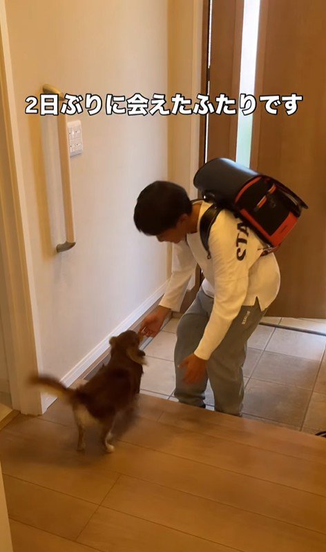 アムくんとお兄ちゃんの再会3