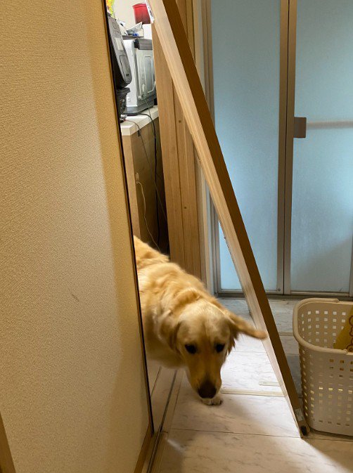 豪快すぎる突破劇