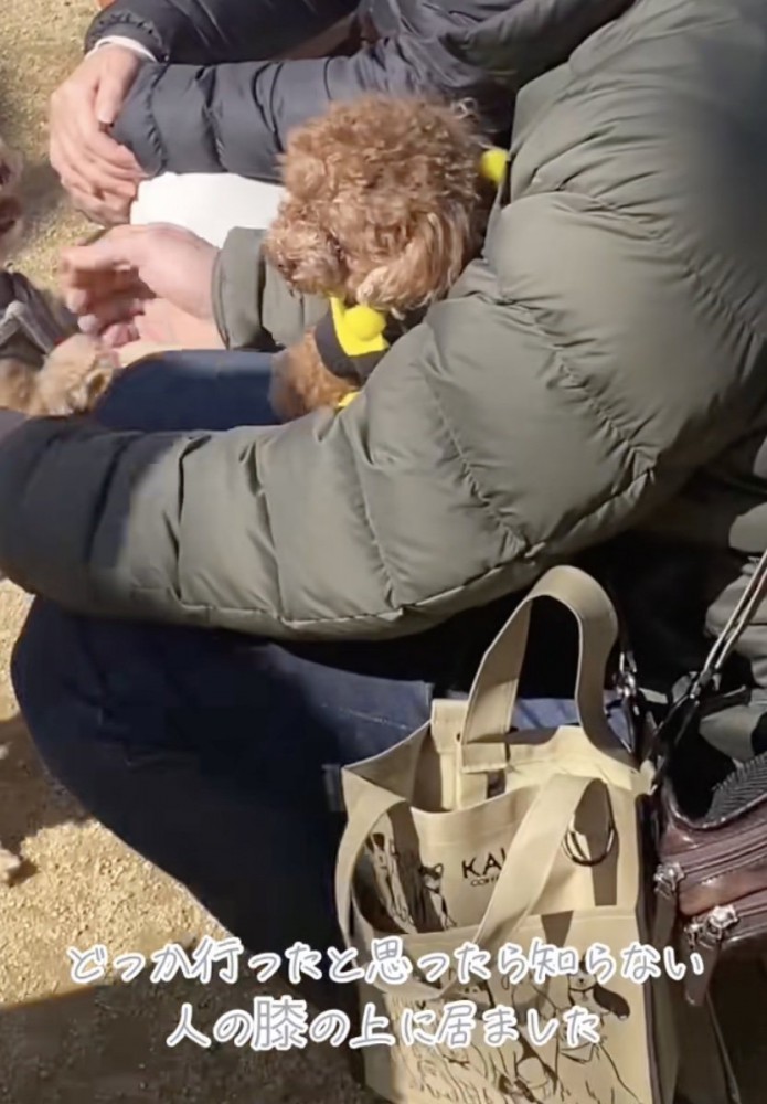 どんな経緯でそこに？