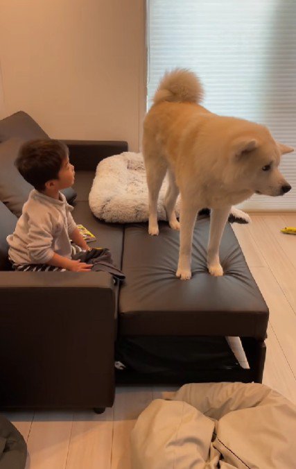 凛太郎くんがやってきて…