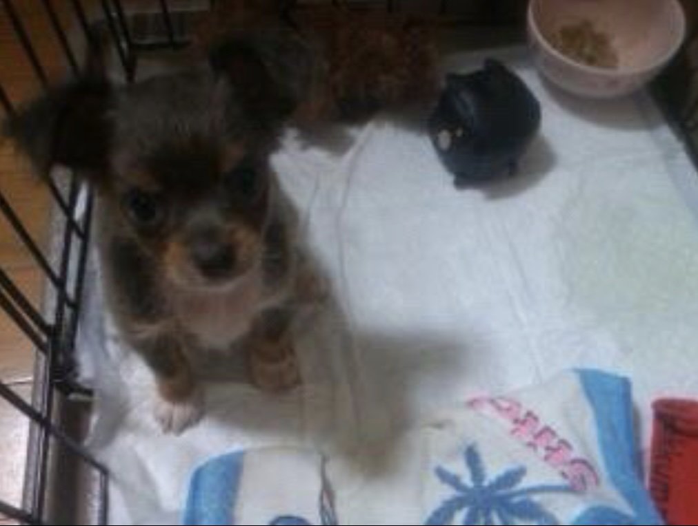 小さなめいちゃん