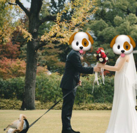 全然そばに寄り添ってない！！