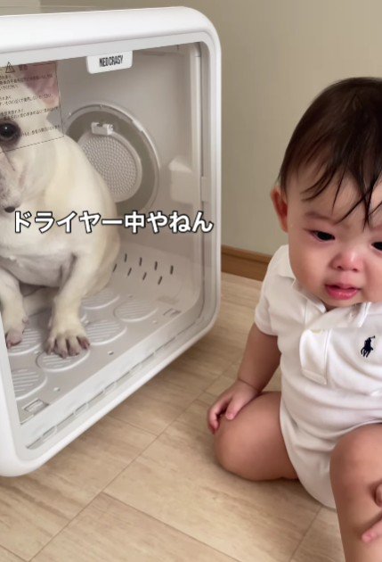 しろちゃんも困り顔