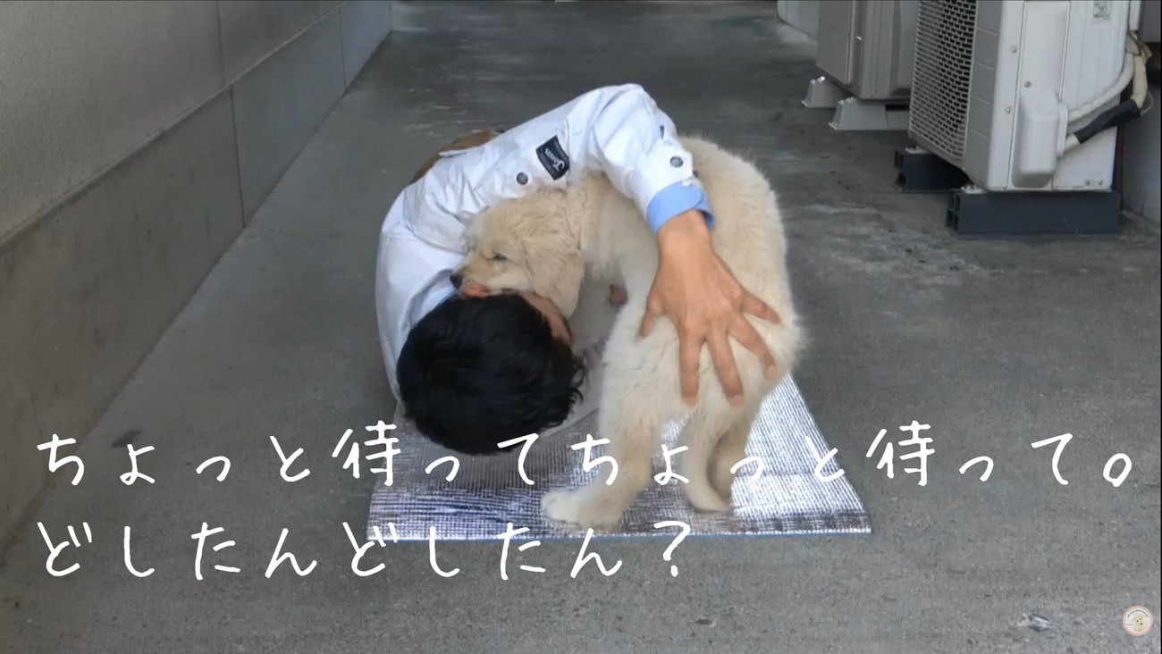 メイちゃんを抱えて…