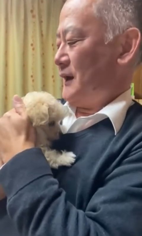 子犬を抱っこするお父さん