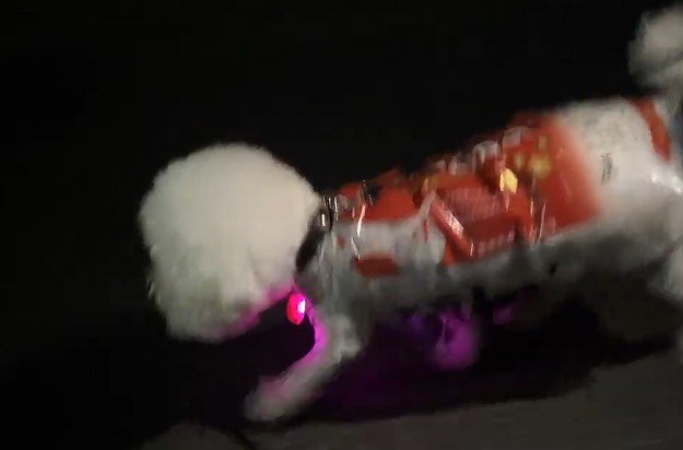 サイズ感もぴったり