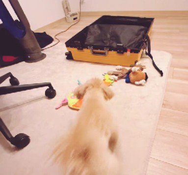 パパに構ってほしいから♡