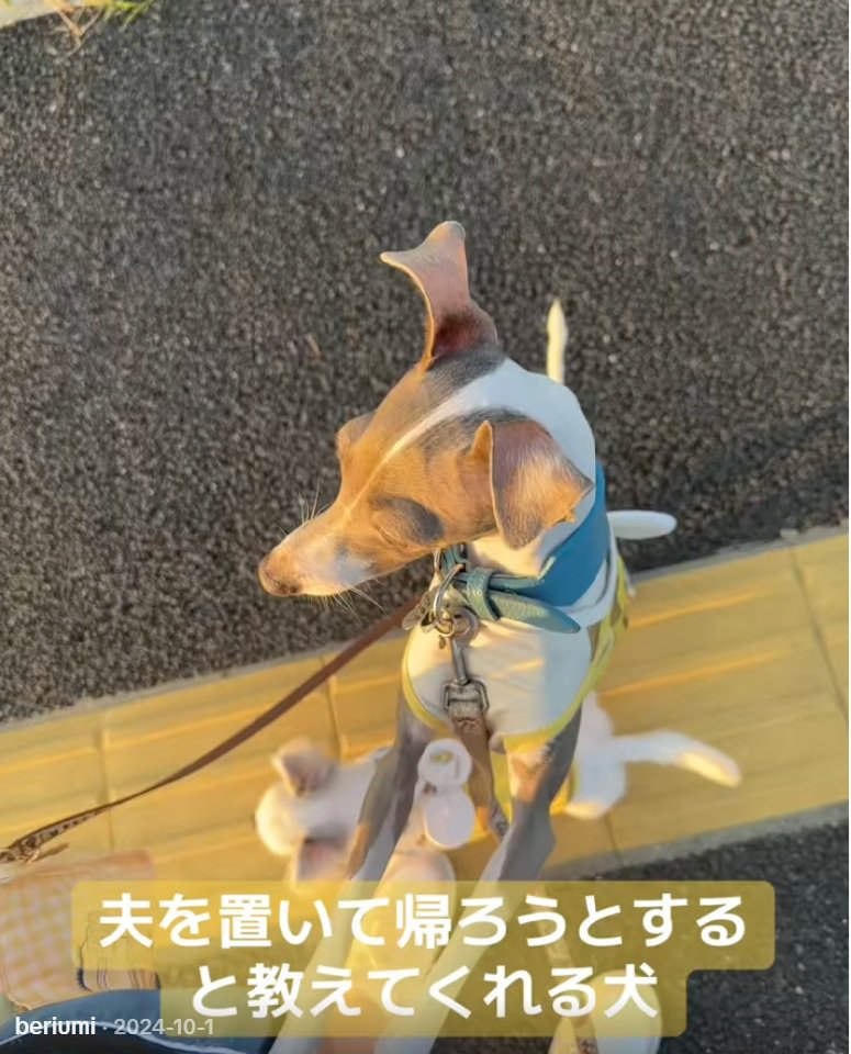 パパの方を見るうみちゃん