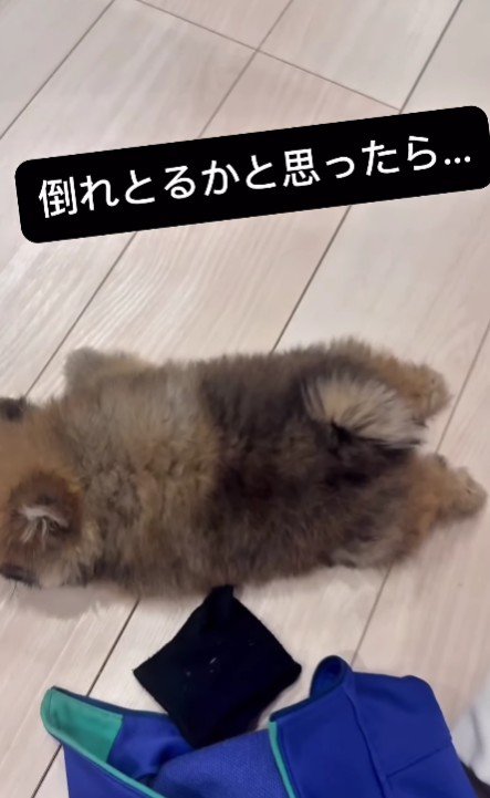 倒れてると思ったら…