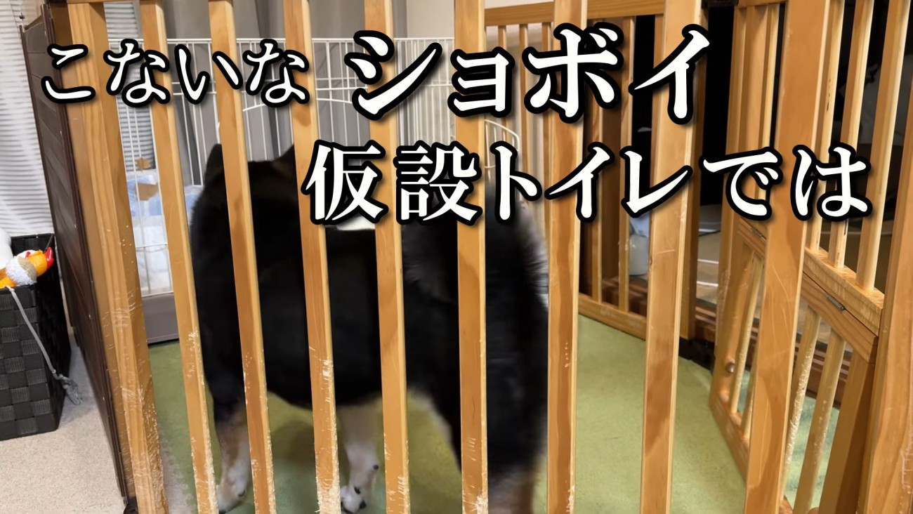 トイレの近くまで行ってみたものの…